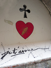 Cliquez sur la vignette pour l'agrandir